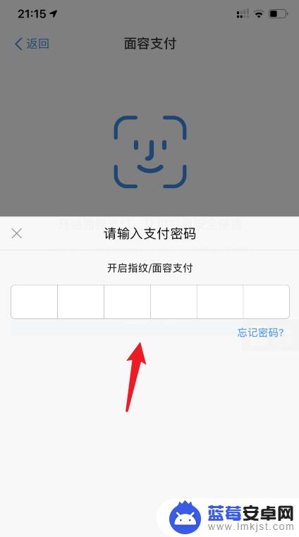 如何开通手机面部支付 支付宝面容支付在苹果手机上怎么开启