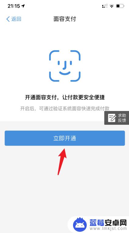 如何开通手机面部支付 支付宝面容支付在苹果手机上怎么开启