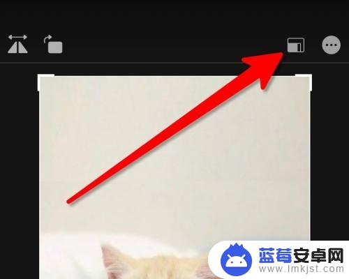 苹果手机如何裁剪宽高比例 iPhone手机如何按比例裁图