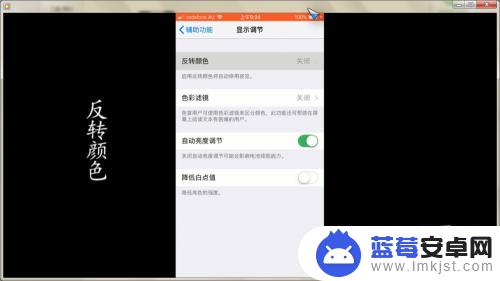 苹果手机反转怎么设置 iphone反转颜色设置方法