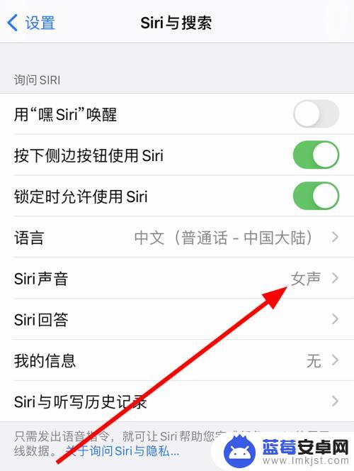 手机怎么更换语音包皮 iPhone手机怎么调整Siri的语音语言