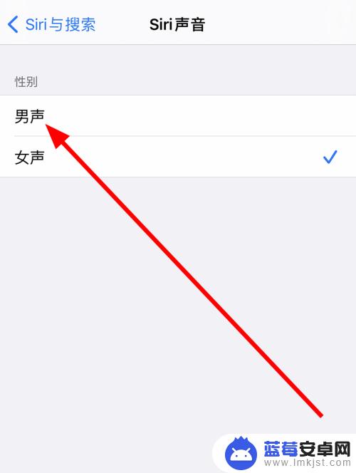 手机怎么更换语音包皮 iPhone手机怎么调整Siri的语音语言