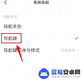 vivo手机设置返回键在哪里设置 vivo手机返回键的设置方法