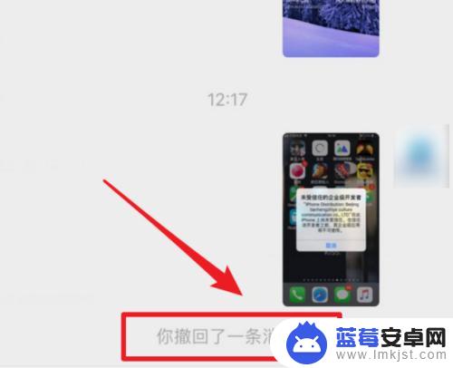 苹果手机撤回图片老是点不出来 苹果微信无法撤回图片怎么办