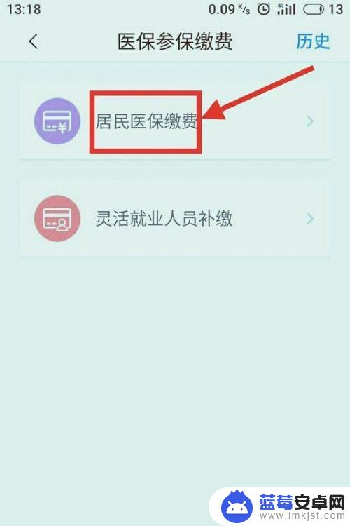 如何用手机办医保 手机上如何查询和缴纳医疗保险