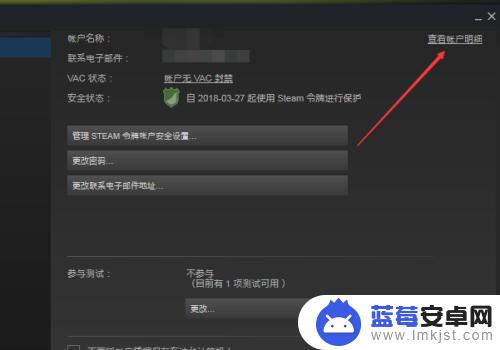 如何看steam上没有消费 如何查看Steam账户的消费记录