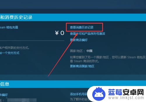 如何看steam上没有消费 如何查看Steam账户的消费记录