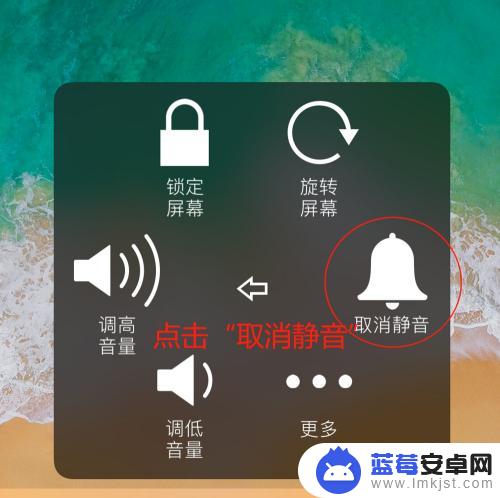 苹果手机解除静音设置 怎么在苹果手机上取消静音模式