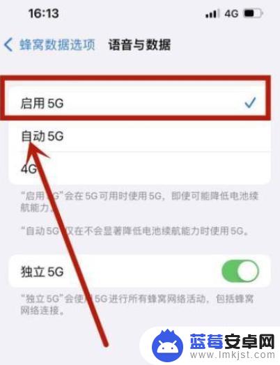 苹果13怎么显示5g图标 苹果13显示5g网络图标方法