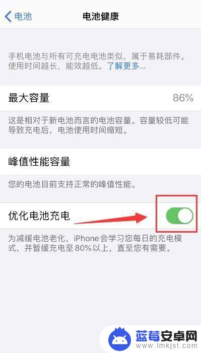 手机如何关闭快充功能苹果 关闭iPhone电池充电优化的方法