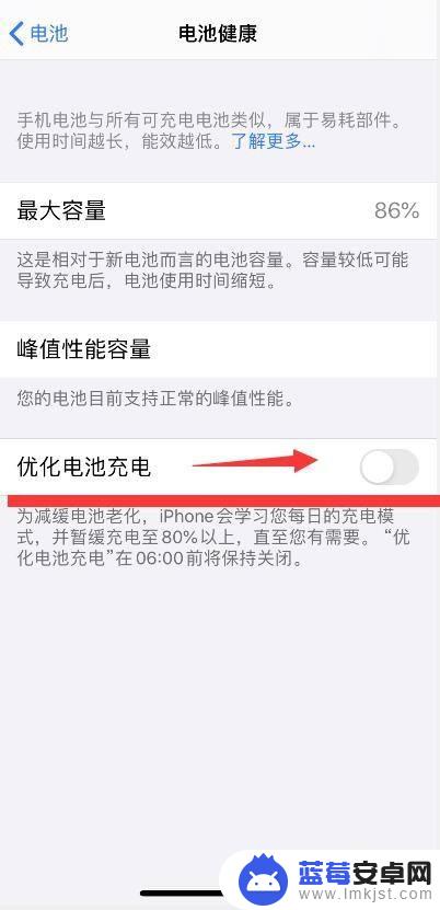 手机如何关闭快充功能苹果 关闭iPhone电池充电优化的方法