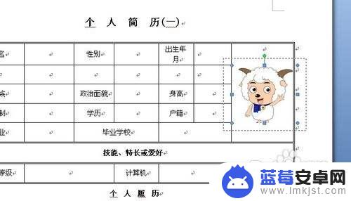 怎么把照片放在word文档表格里 Word表格中插入图片方法