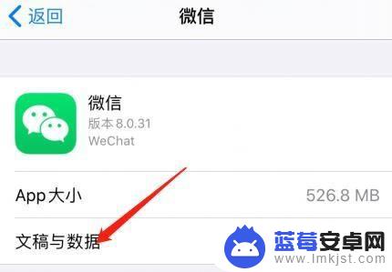 苹果手机文稿与数据怎么查看 怎么在苹果手机上查看微信文稿和数据的大小