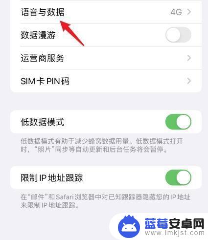 iphone135g怎么切换4g 苹果13怎么设置网络为4g