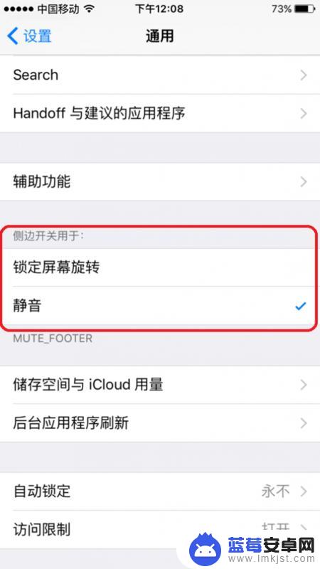 苹果手机侧面静音键怎么开启 iphone11侧面静音键操作步骤