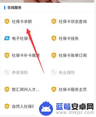 手机怎么查医保余额 如何在手机上查询医保余额