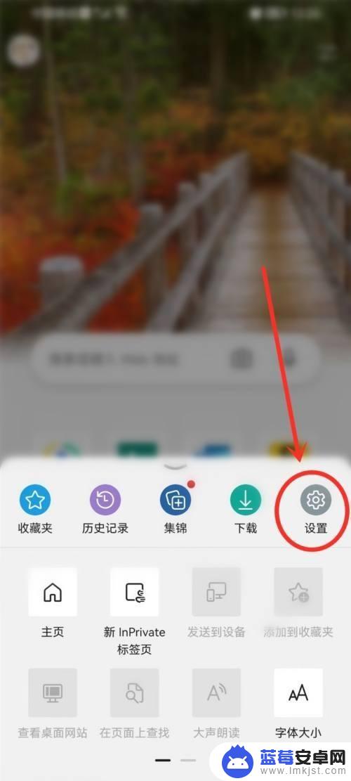 如何放大手机浏览器 手机edge浏览器网页放大缩小设置方法