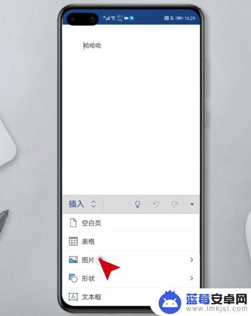 苹果手机word文档怎么弄图片进去 手机word文档图片插入教程