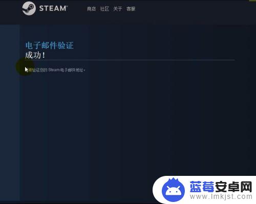 steam邮件加载失败怎么办 Steam邮箱验证失败原因和解决方法视频