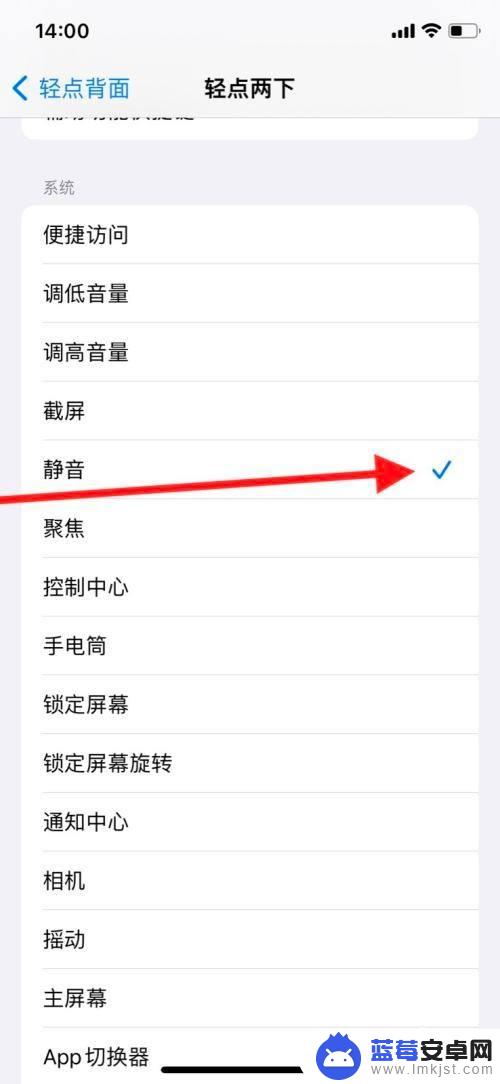 苹果手机轻点两下怎么关闭 iPhone敲击两下背面启动的静音功能怎么关掉