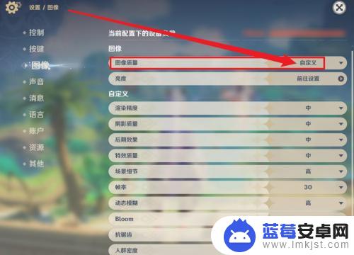 原神图像质量 如何在原神中自定义图像质量
