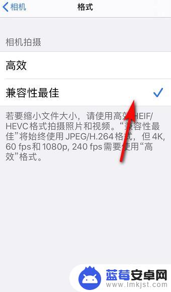 苹果手机拍摄视频格式怎么改mp4 苹果手机视频保存为MP4