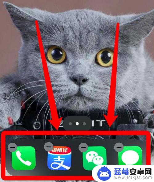 苹果手机的桌面图标怎么固定位置 苹果手机怎样锁定应用图标不随意移动