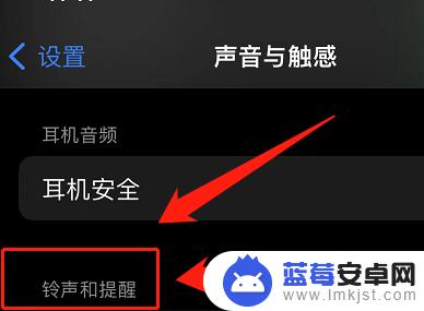 导航怎么设置手机声音大 苹果手机导航声音调大方法