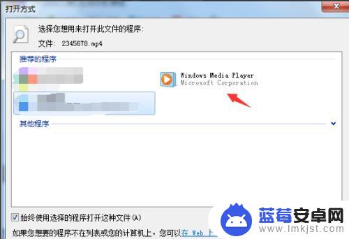 苹果手机文件默认打开方式怎么设置 Windows文件的默认打开方式设置方法