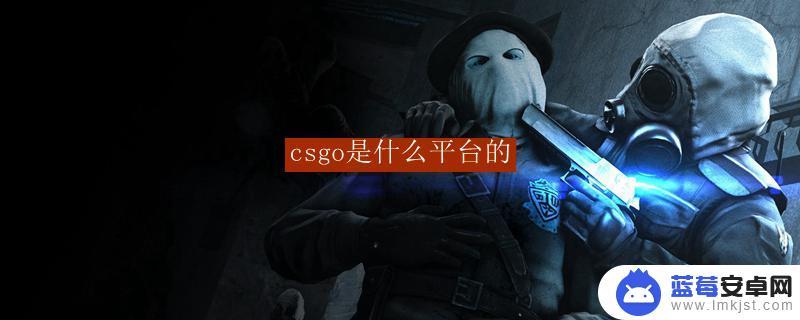 csgo是什么平台游戏 csgo是什么游戏平台的