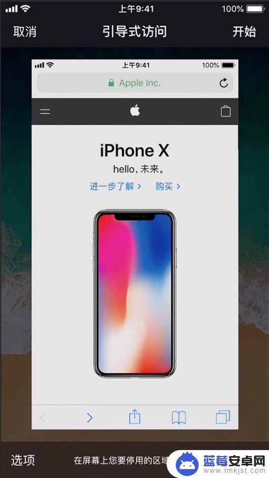 苹果手机引导式访问是什么 iPhone引导式访问如何开启