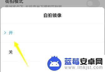 手机怎么设置屏幕自拍模式 手机自拍镜像设置教程