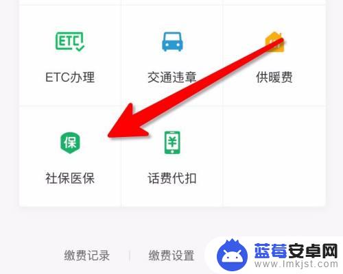 手机怎么交农村保险缴费 农村合作医疗保险网上缴费时间
