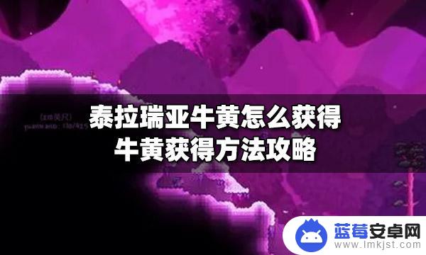 泰拉瑞亚黄牛能合成什么 泰拉瑞亚牛黄怎么获得