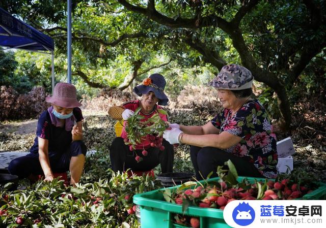 厚街镇抖音热门推广(东莞抖音推广)