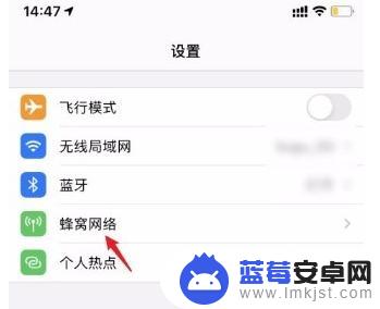 苹果12手机怎么用4g网络 苹果12如何设置4G网络