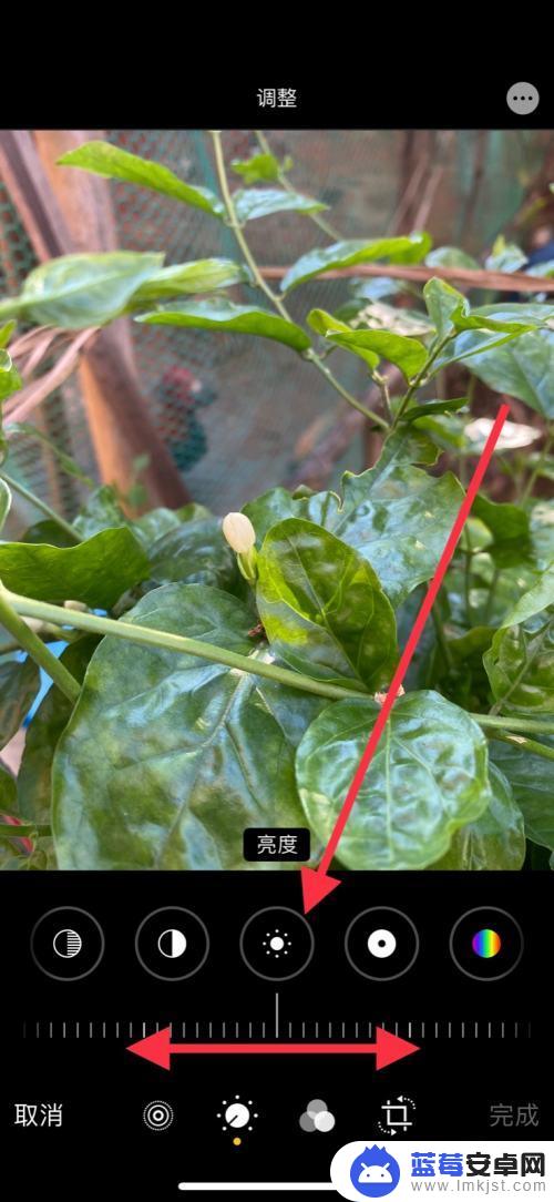 拍照手机亮度怎么调节 iPhone手机照片亮度调节方法