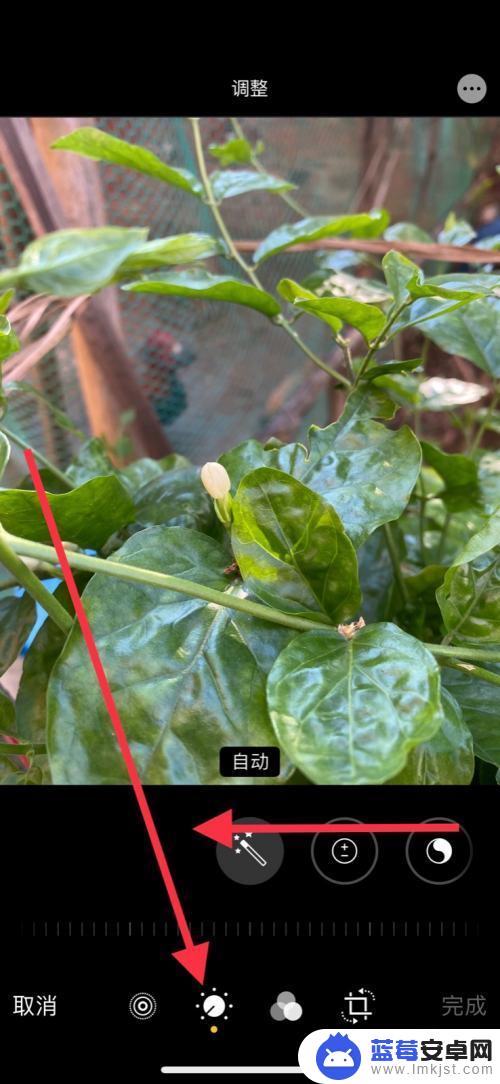 拍照手机亮度怎么调节 iPhone手机照片亮度调节方法