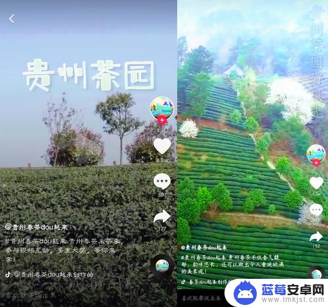 茶叶抖音广告案例(抖音茶叶报白需要多少钱)