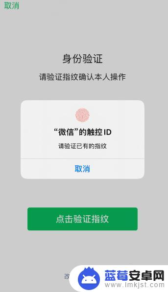 苹果手机怎么更改付款方式为微信 苹果手机支付界面怎么调整为微信支付