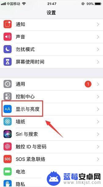 苹果手机如何将app放大 iPhone苹果手机应用图标大小设置方法