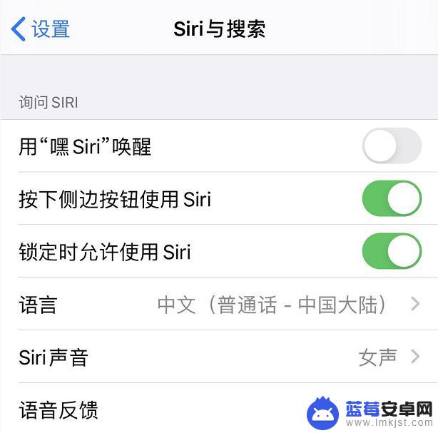 苹果手机怎么设置成语接龙 如何让 Siri 在 iOS 13 上陪你玩成语接龙