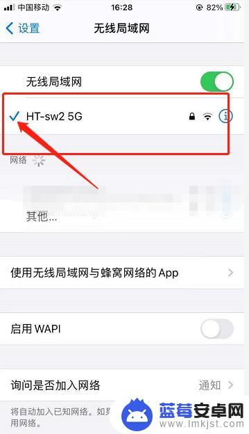 苹果手机如何查找无线网 iPhone无线局域网IP地址查看方法