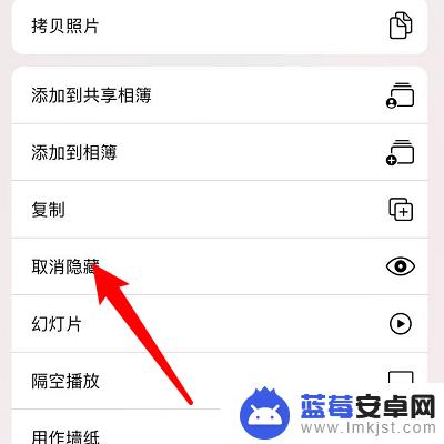 苹果手机怎么显示隐藏照片 苹果相册中隐藏的照片怎么显示出来