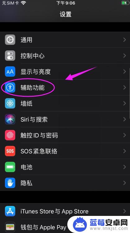 手机设置没有快捷与辅助 苹果手机辅助功能快捷键设置指南