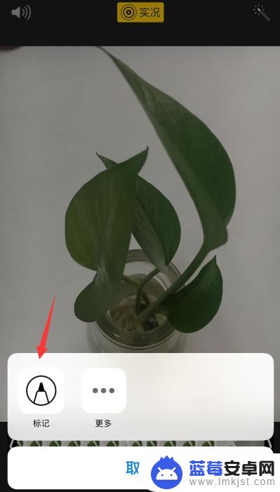 怎么标记苹果手机照片 iphone手机图片标记教程