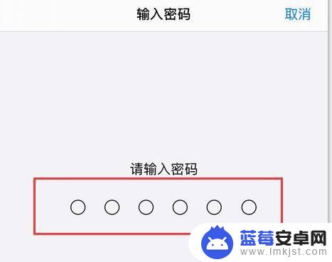 苹果手机怎么忘记密码网线 苹果手机网络设置密码设置方法