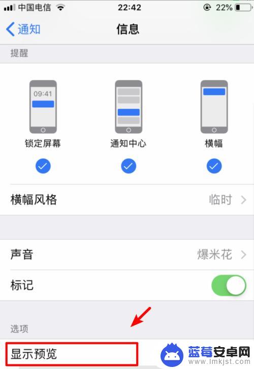 苹果手机短信如何不显示短信内容 如何在iPhone手机上设置短信通知不显示内容