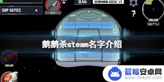 鹅鸭杀steam里面叫什么 《鹅鸭杀》steam中文名字是什么