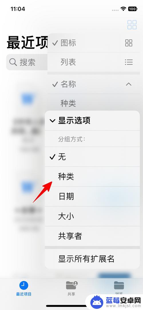 苹果手机屏幕内容怎么分组 iPhone如何按种类分组显示文件